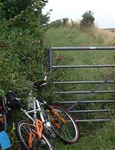 Gate Picture